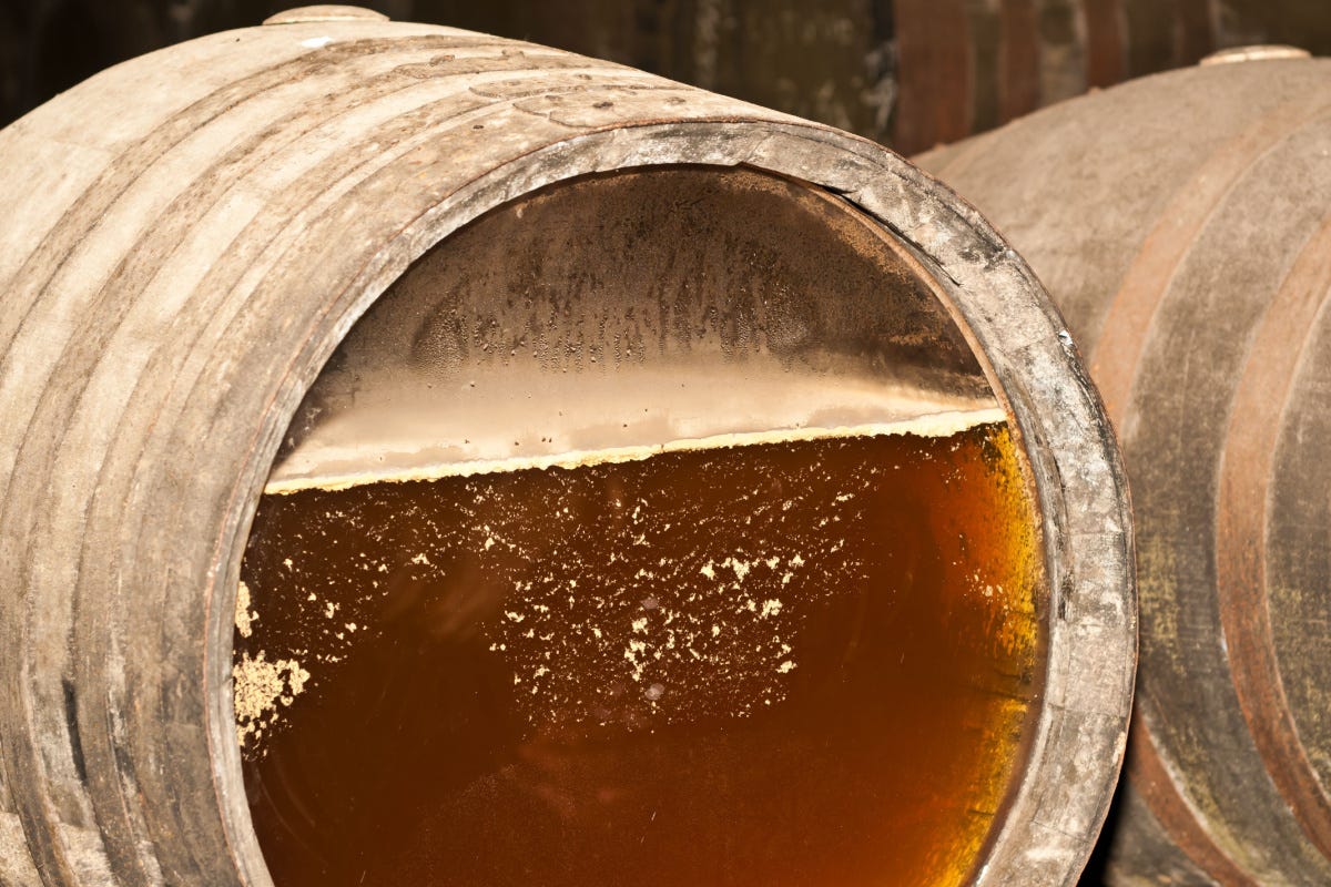 “Report” farnetica ancora sul vino italiano: lieviti e fermentazioni nel mirino